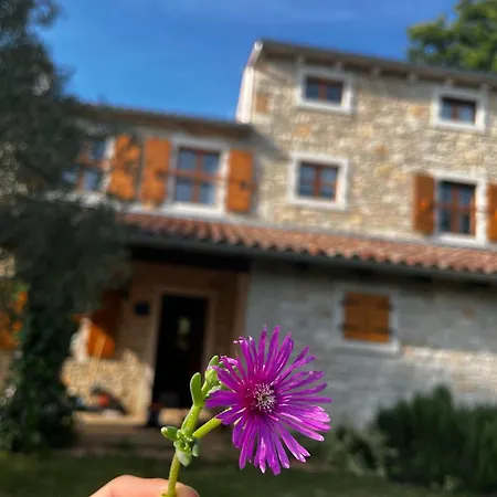 Vila Boduleri Marcana